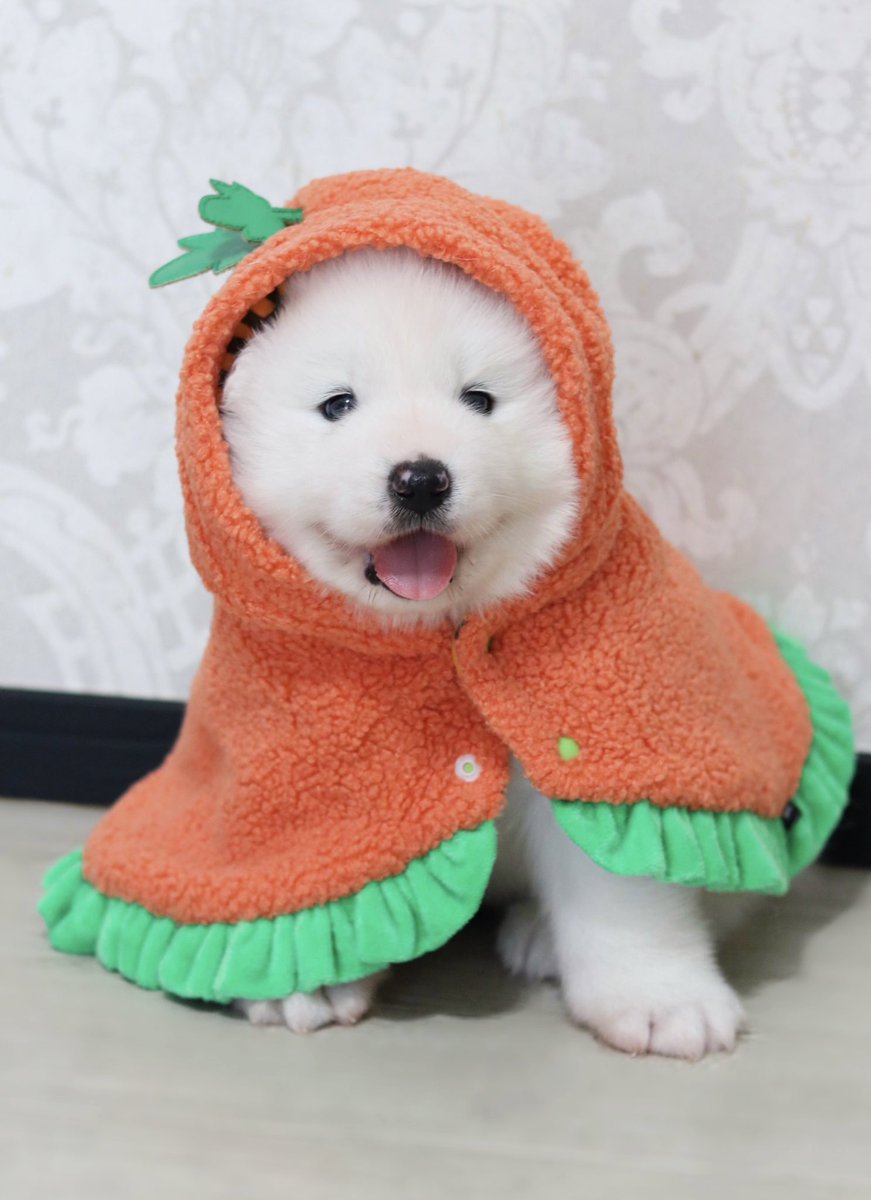 2.5キロになったにんじん坊や🥕