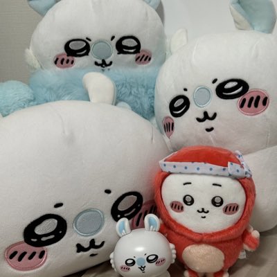 mogausa2024 tweet media