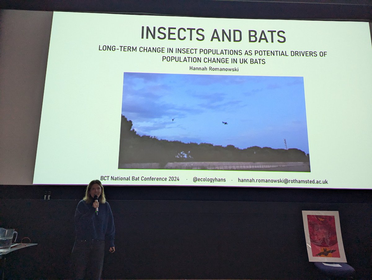 Bat Conservation Trust tweet media