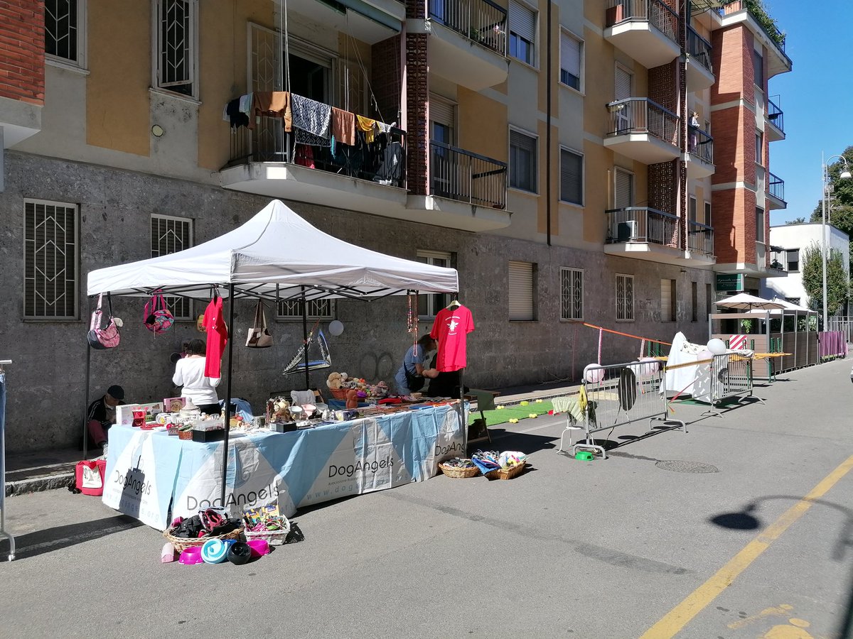 SanDoGames prima edizione, noi siamo pronti, vi aspettiamo!!! tanti giochi per cani e umani. Oggi a San Donato Milanese in via Monte Nero 4.