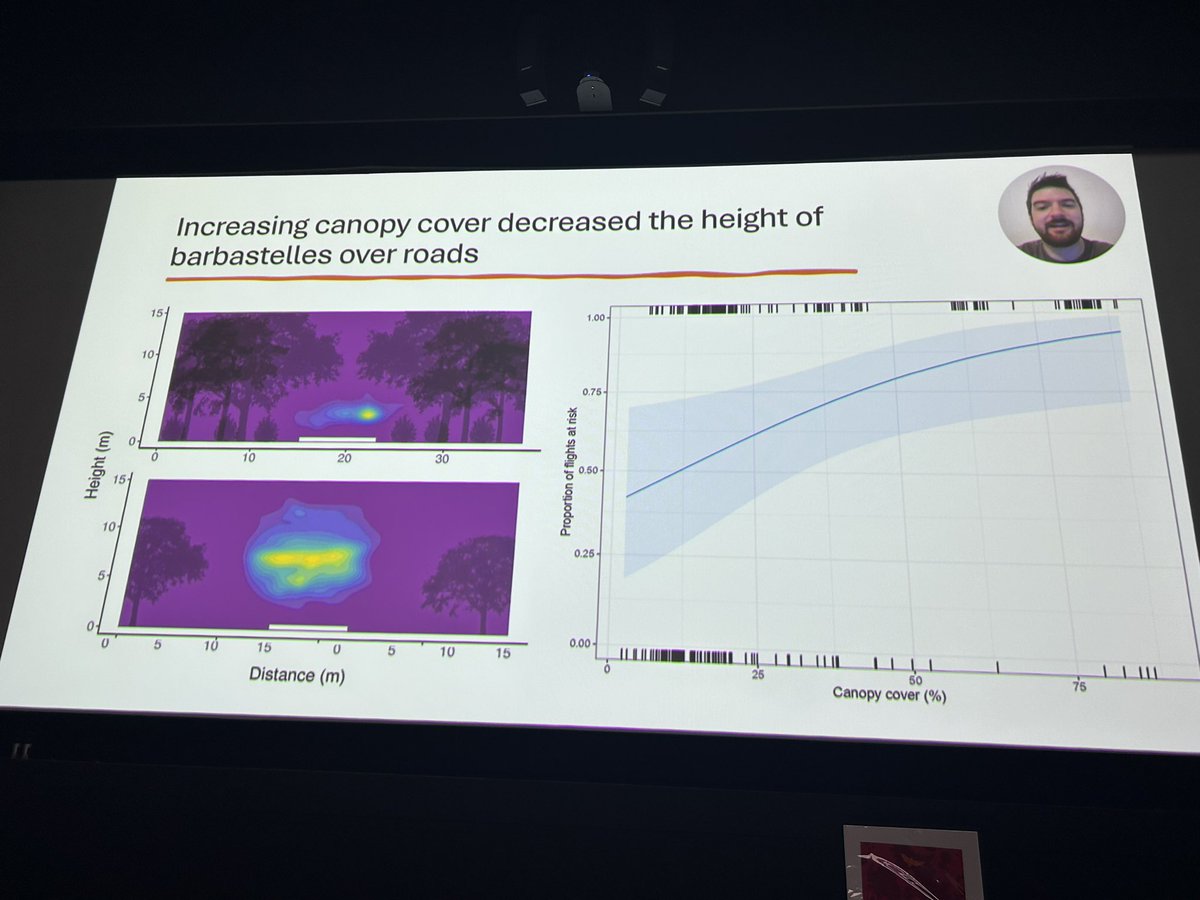 Kit Stoner tweet media