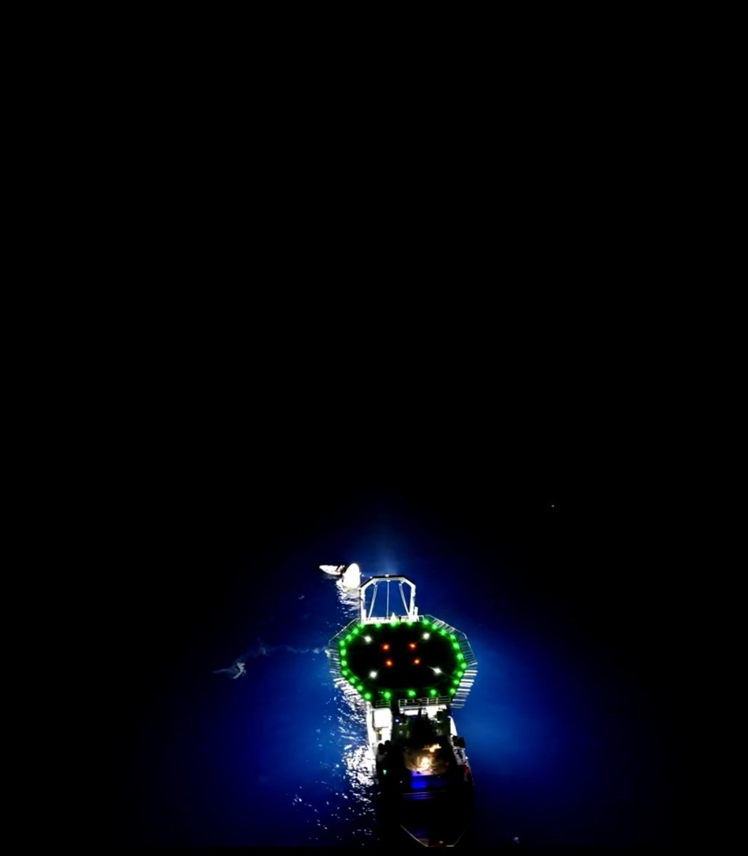 Congratulations to the entire <a href="/PolarisProgram/">Polaris</a> team!