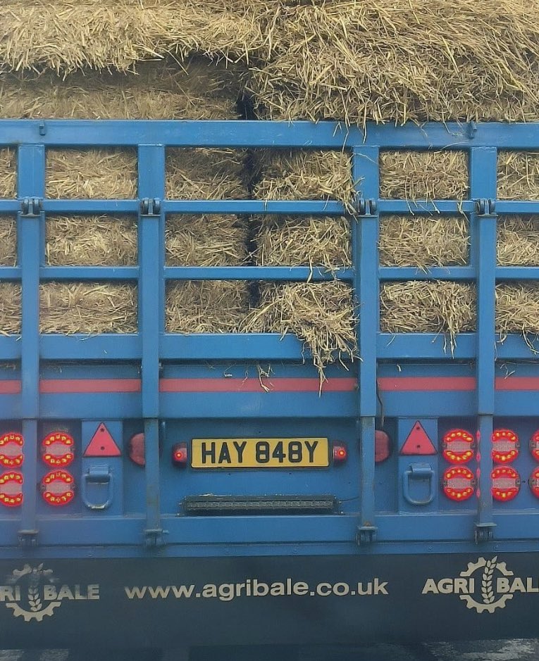 What’s the best registration plate you’ve seen?