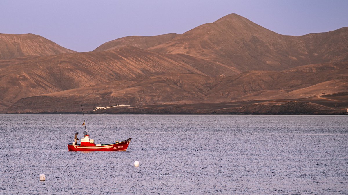 David Lyons ⛰🌘🦊 tweet media