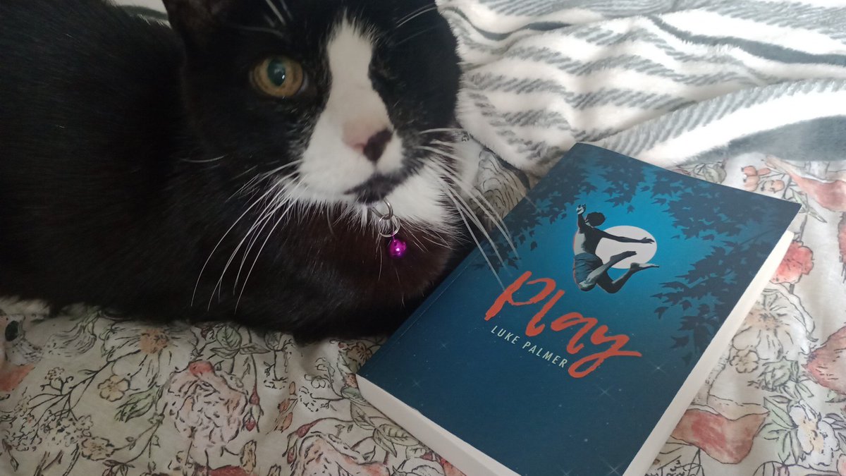 Alison King (@mskinglibrarian) on Twitter photo An absolute sucker punch of a novel. Still reeling. #Play is raw and vital and real. And that ending... 🤯💔😭 <a href="/lcpalmerpoet/">Luke Palmer</a> <a href="/FireflyPress/">Firefly Press</a> Stunning. An absolute sucker punch of a novel. Still reeling. #Play is raw and vital and real. And that ending... 🤯💔😭 <a href="/lcpalmerpoet/">Luke Palmer</a> <a href="/FireflyPress/">Firefly Press</a> Stunning.