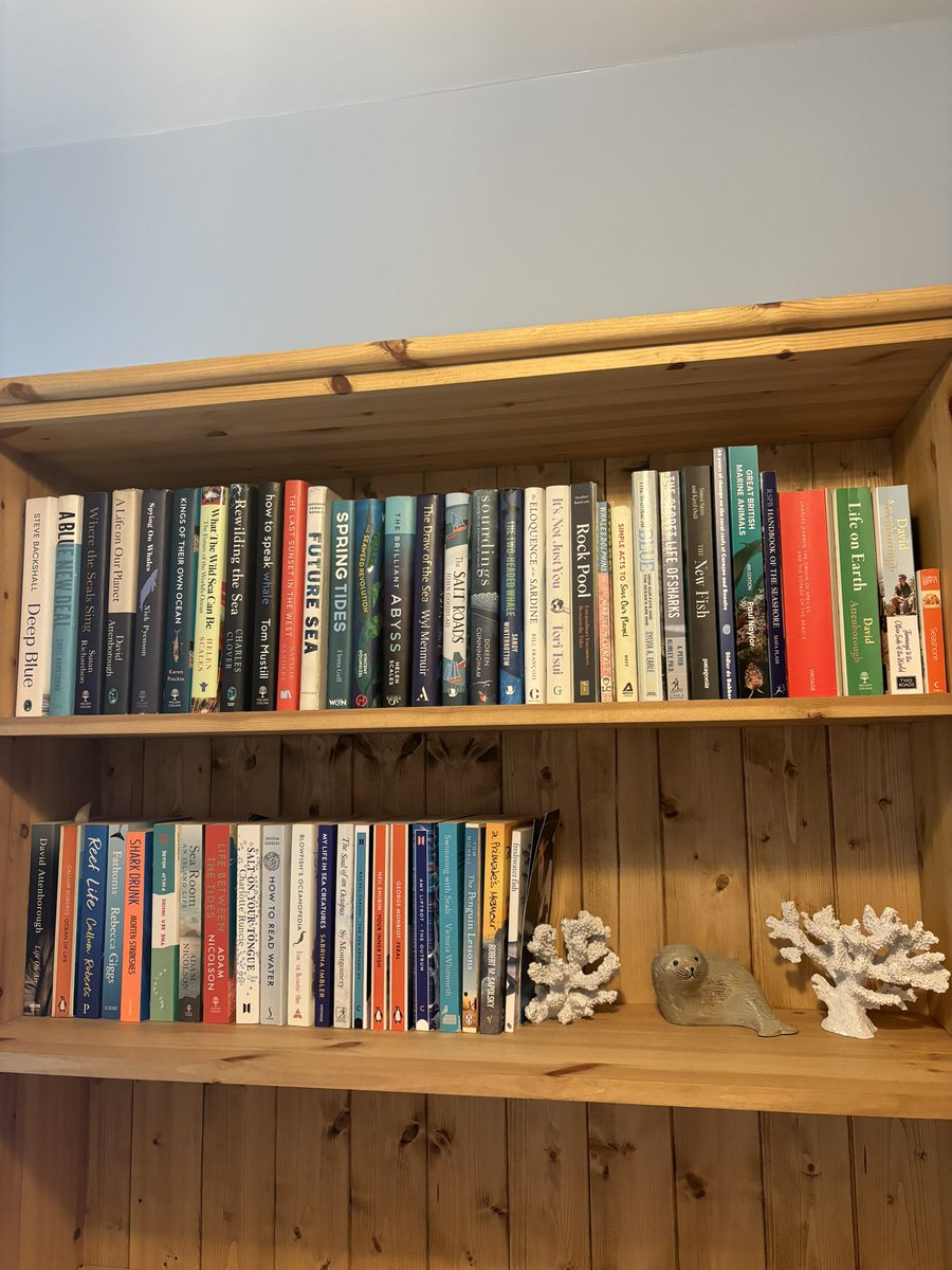 thatsealgirl's tweet image. Not sure what I’m more excited about, having finally moved near the sea, starting my Masters, or finally having a bookcase that can display all my marine & environment books 🤣