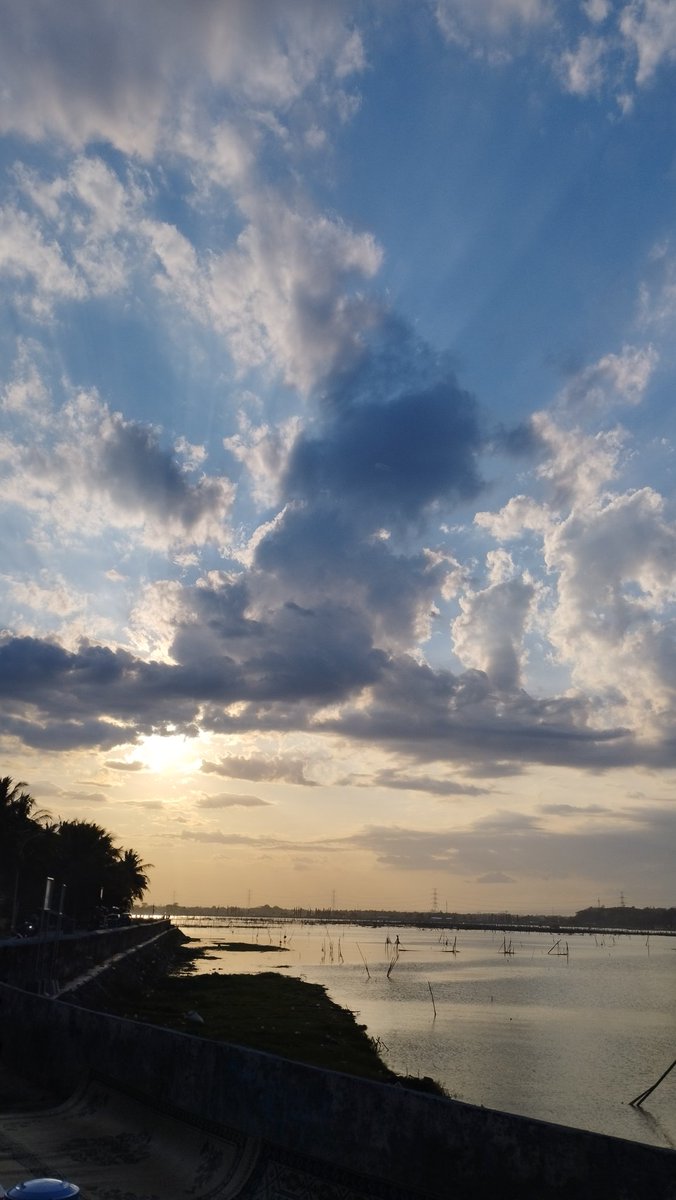 approfound's tweet image. chasing sunset