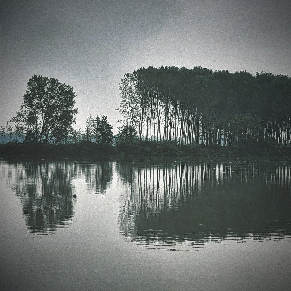 gio_b_tta's tweet image. Il vecchio grande fiume Po sa sempre come emozionarci.
(Foto scattata durante un workshop di scrittura a bordi della motonave Mattei, Piacenza/Cremona. Grazie @Off_Gutenberg )
#Foto #photo #photograghy #photooftheday