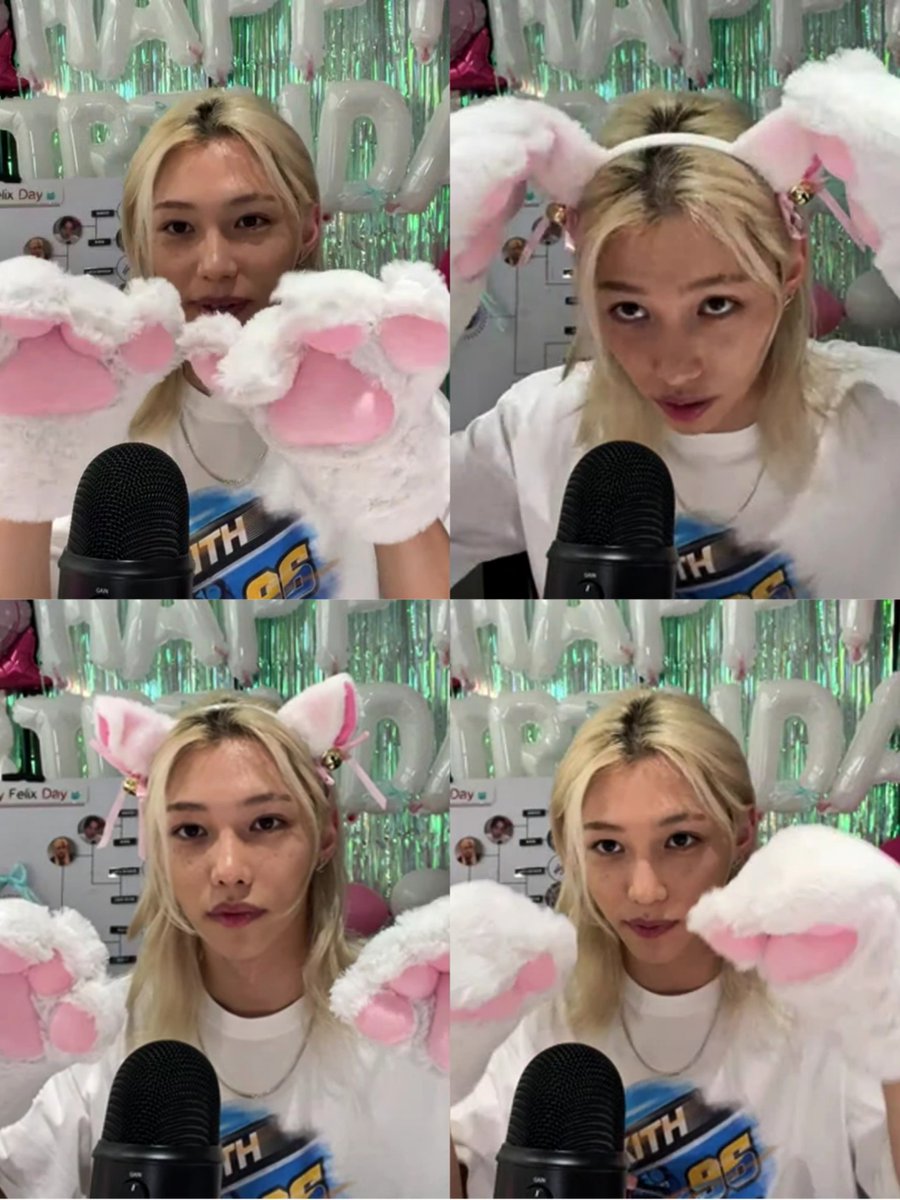 2023                                         2024
YONGFAIRY                            YONGKITTY