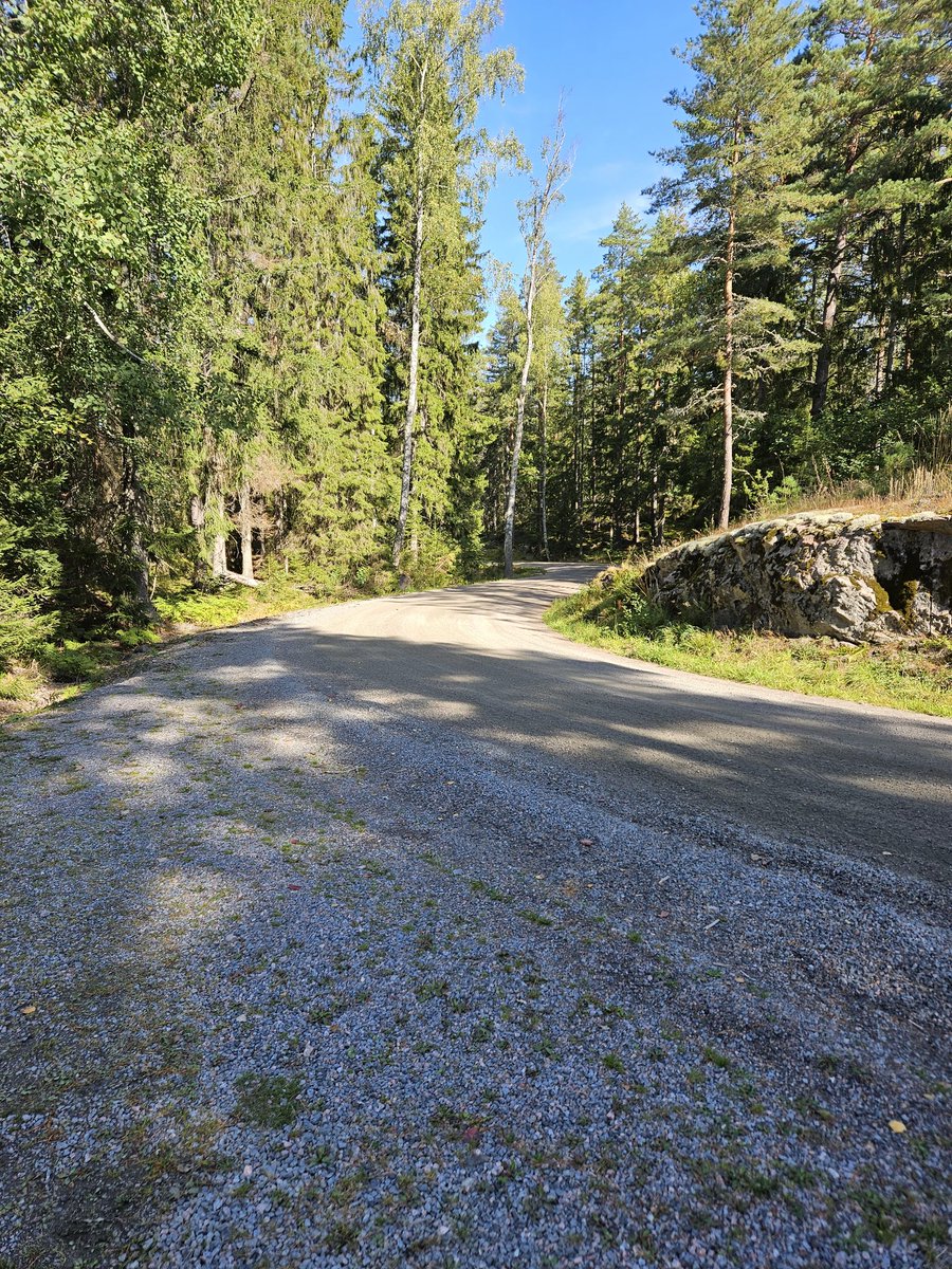 Lars_crona's tweet image. Lite grus på förmiddagen!! #Hardtail #Mtb