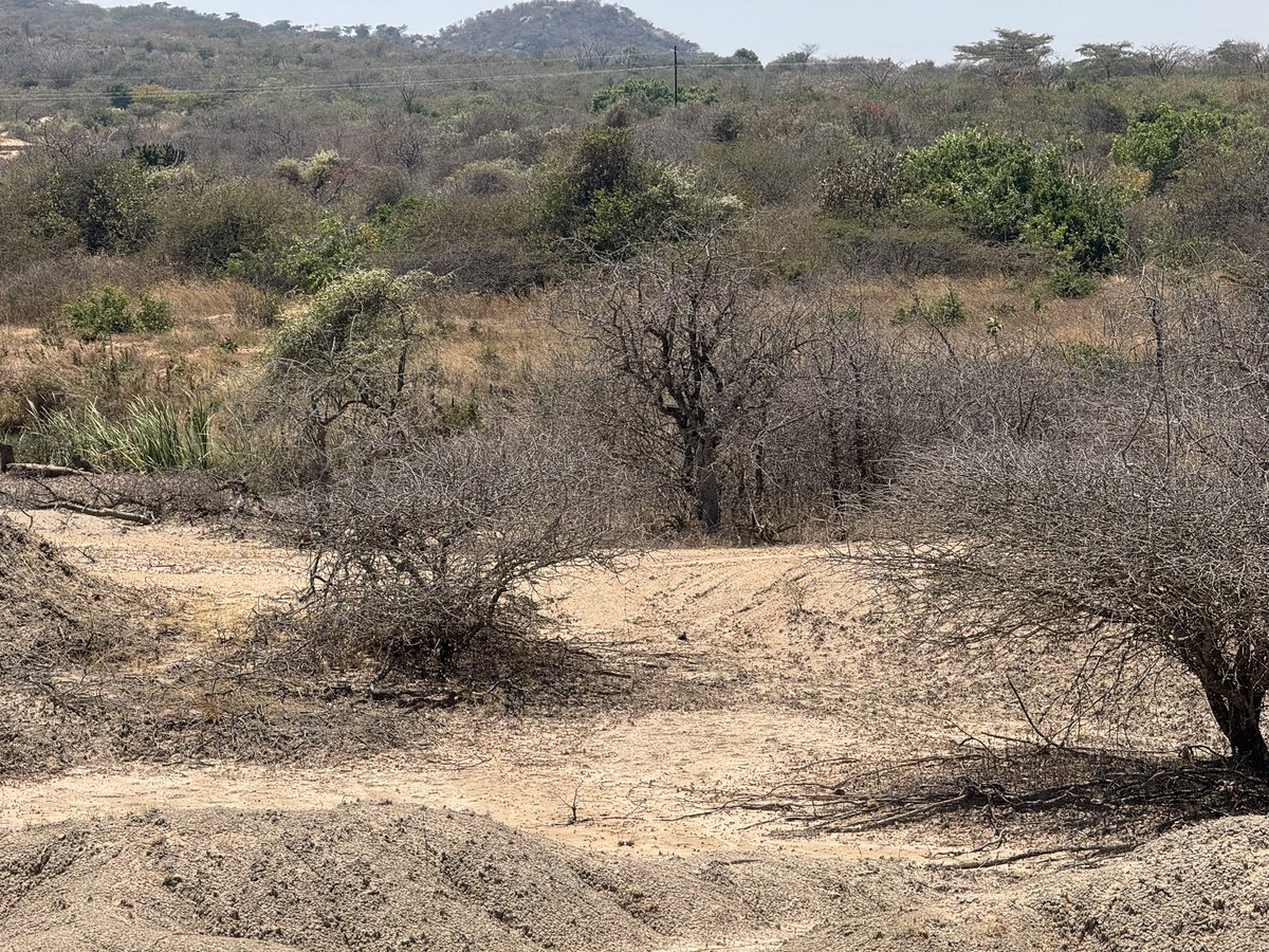 Archaeological survey and some wonderful discoveries in the Singida region