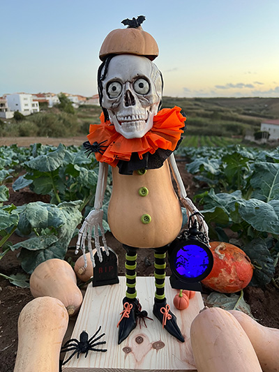 🆕En auge la producción española de calabaza
portagrano.eu/noticia.php?id…

Arranca una nueva campaña de #Halloween de #LoveKlabaza: concurso para escolares y como premio un viaje a la Warner enviando la foto de la #calabaza más terrorífica 

#butternut #Sakata