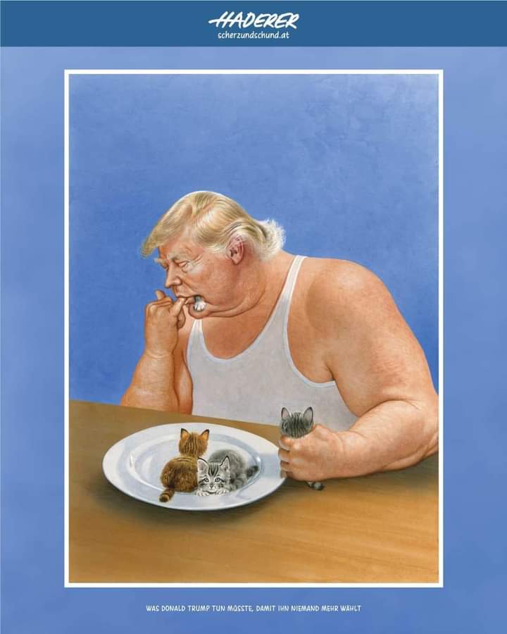 Dnavsdoa's tweet photo. @MusashiBonMot @MadisonKittay https://t.co/WasCuBr0Ze