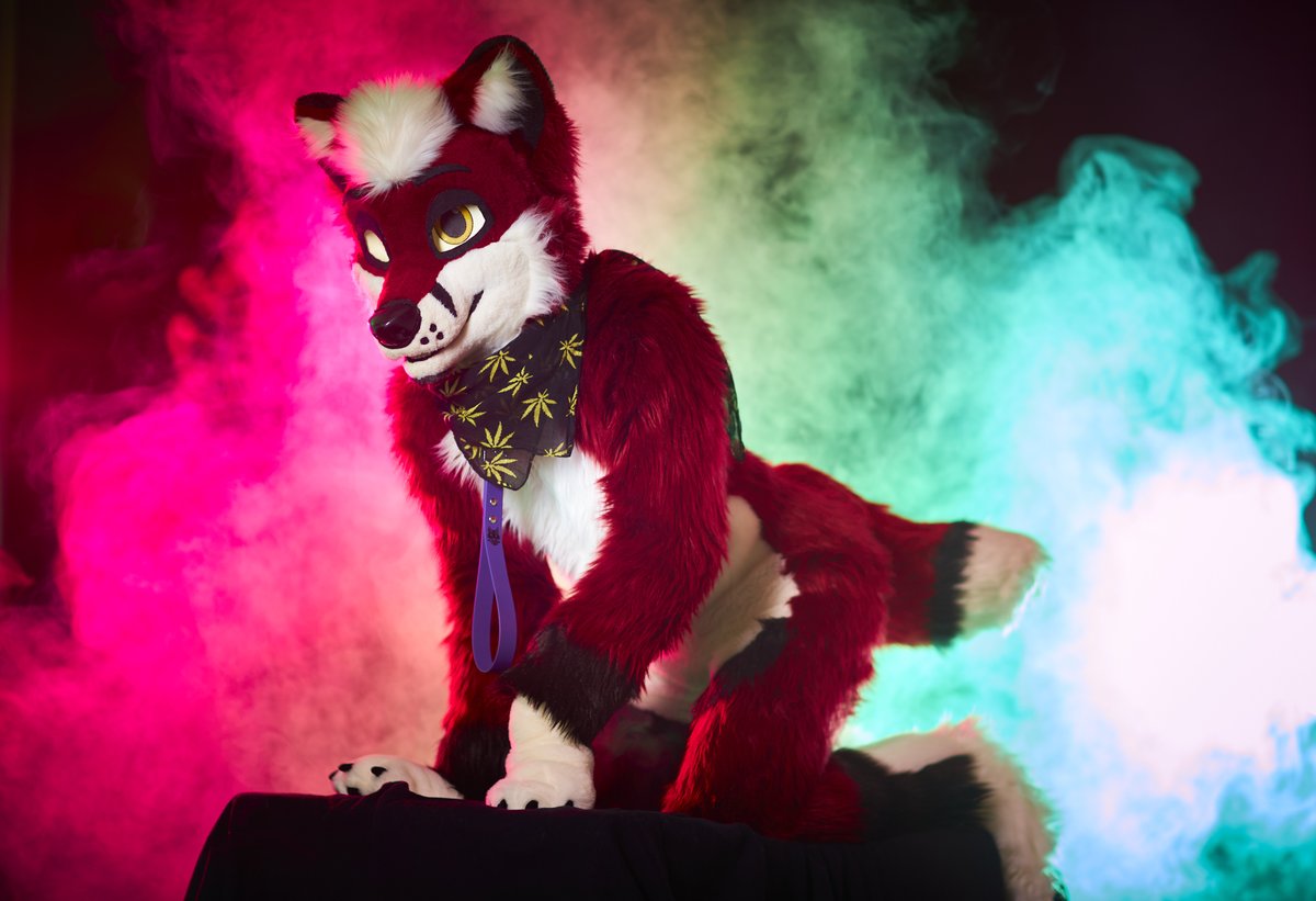 His stash of 🍃 disappeared in a mysterious puff of smoke … @QuimbyFox