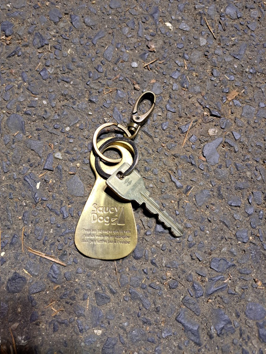 ロッキン
ひたちなか
15日
グラスステージ　後ろ
テントエリア
鍵
Saucy Dog
キーホルダー
落ちてました

本部に届けます