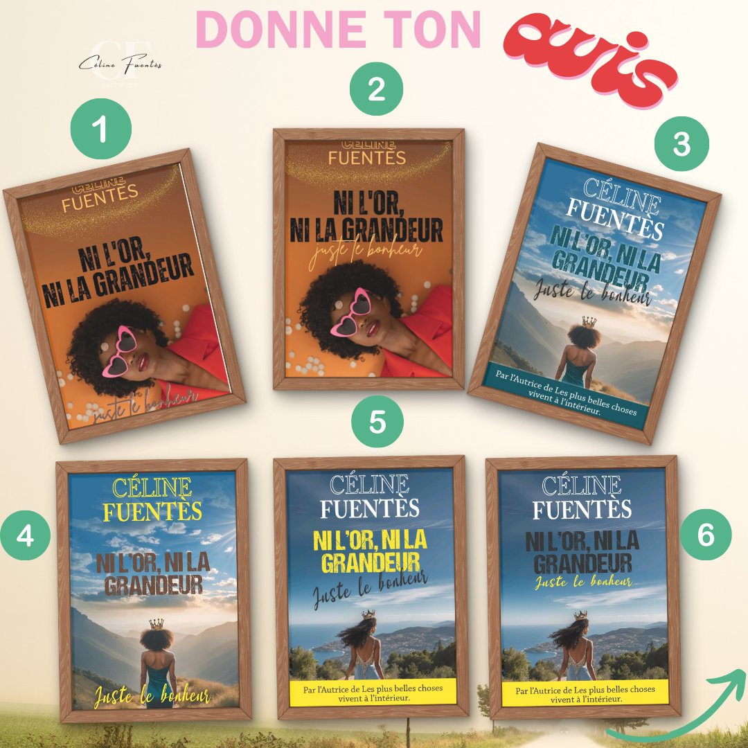 Besoin d'avis pour la couverture de mon prochain roman 😜 Me d'avance #livre #roman #autoedition  #avislivresque #lectire #ecriture