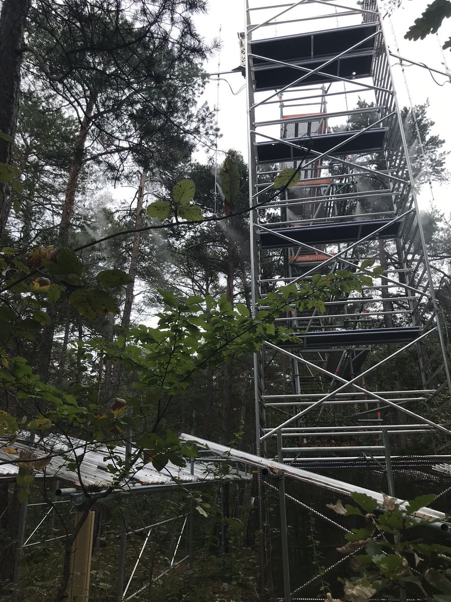 Yunpeng Luo tweet media