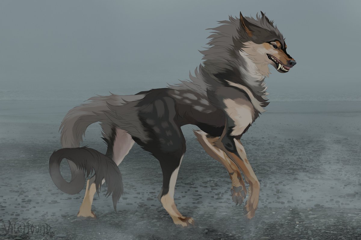 Sorry for not posting in like two months, life has been super hectic and busy lately! Hopefully stuff calms down soon ;;
In the meantime, here's a coloured sketch ^w^
