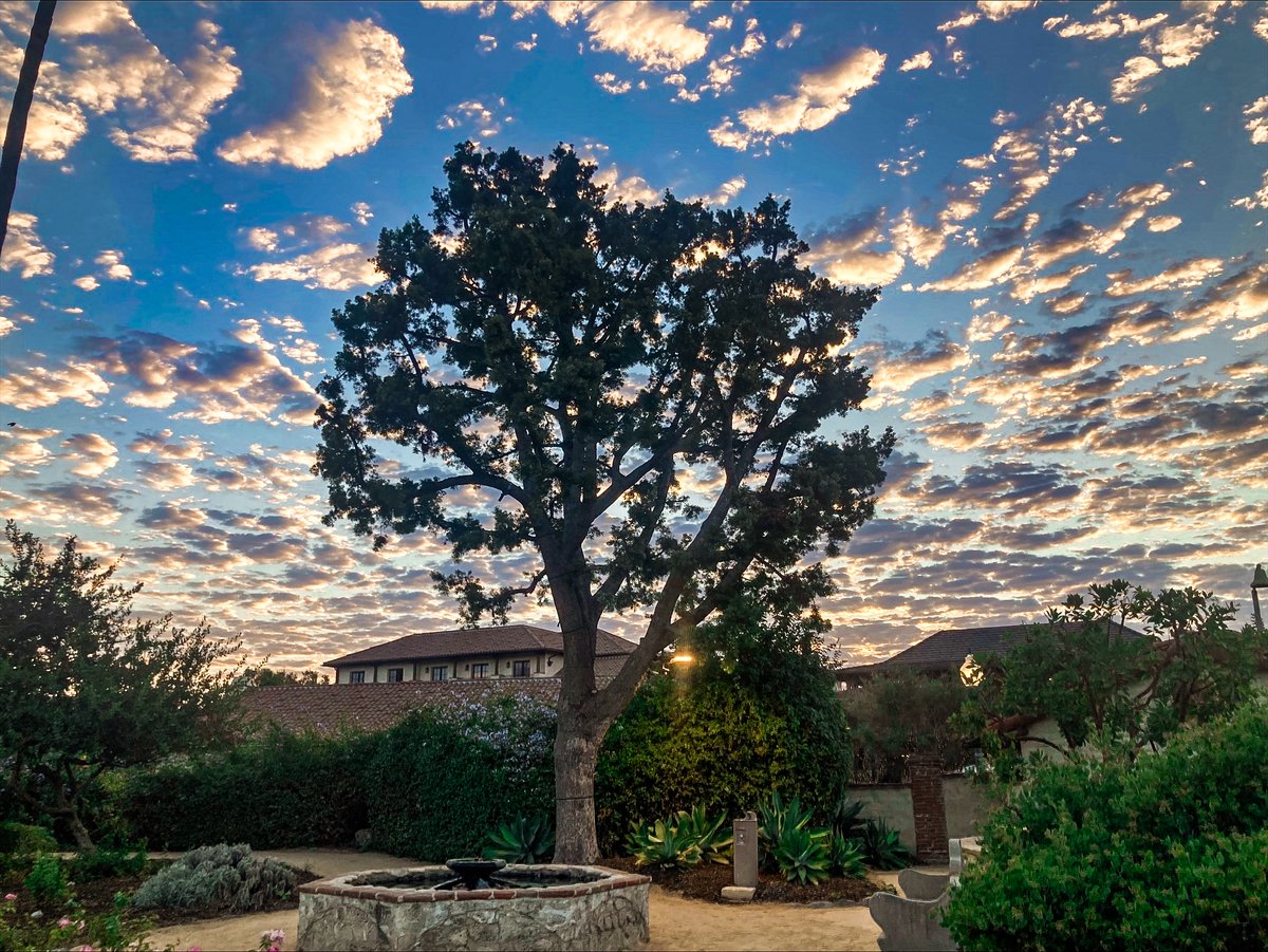 MissionSJC's tweet photo. “If you look the right way, you can see that the whole world is a garden.” — Frances Hodgson Burnett, The Secret Garden
Photo Credit Jorge Benavides, Mission Groundskeeper
#missionsjc #missionsanjuancapistrano #missionhistory #sundayreset #sundayinspiration #exploresocal https://t.co/xAuc3nfG0r