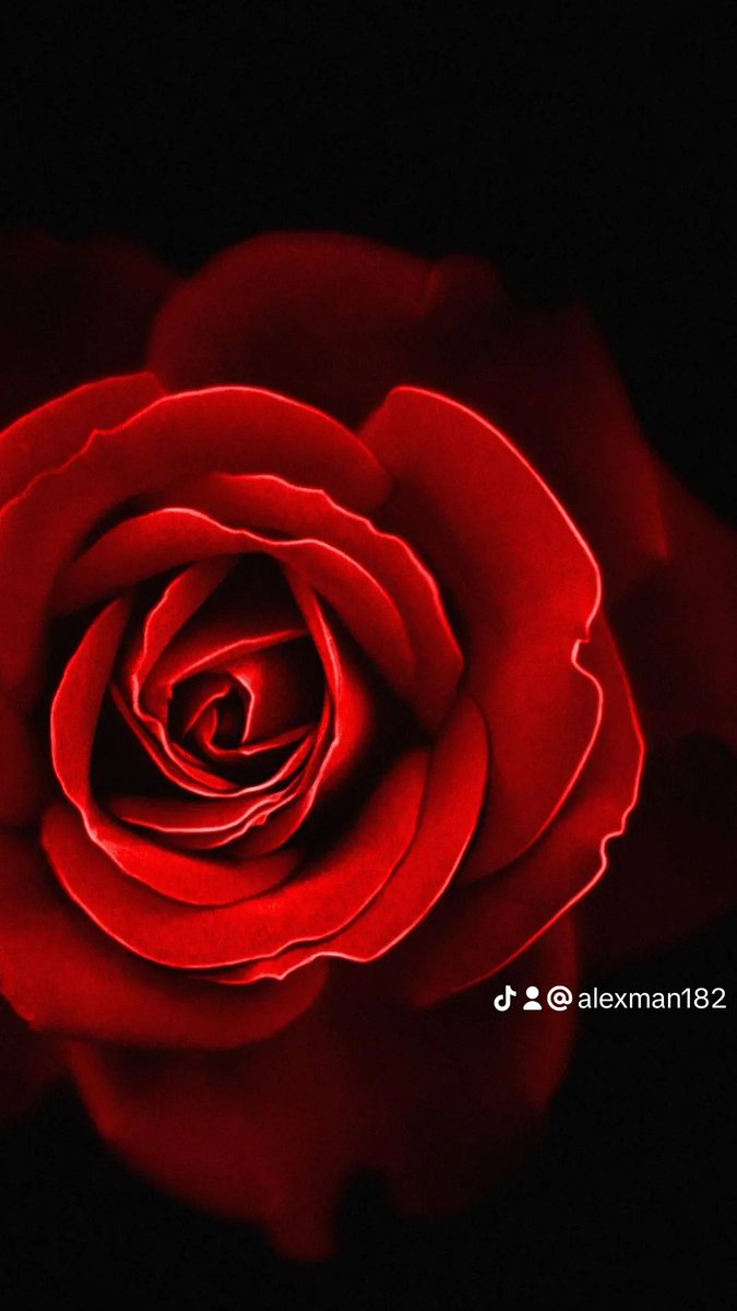 Alex Man (@alexman36853805) on Twitter photo 