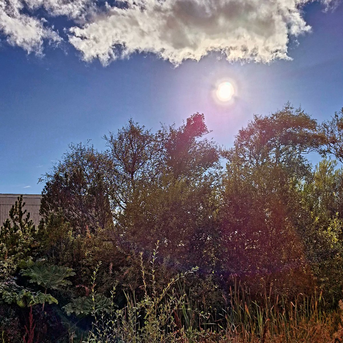 Dyad Productions (@dyadproductions) on Twitter photo We're back at the <a href="/SwallowTheatre/">The Swallow Theatre</a> with Austenâs Women: LADY SUSAN. The sun is shining, the cows are lowing and Dyad is breathing the relaxing air of #scotland before tonight's show.
(Few tix left for tomorrow's matinee btw)
#ladysusan #femalewriters #acting #theatre #janeausten We're back at the <a href="/SwallowTheatre/">The Swallow Theatre</a> with Austenâs Women: LADY SUSAN. The sun is shining, the cows are lowing and Dyad is breathing the relaxing air of #scotland before tonight's show.
(Few tix left for tomorrow's matinee btw)
#ladysusan #femalewriters #acting #theatre #janeausten