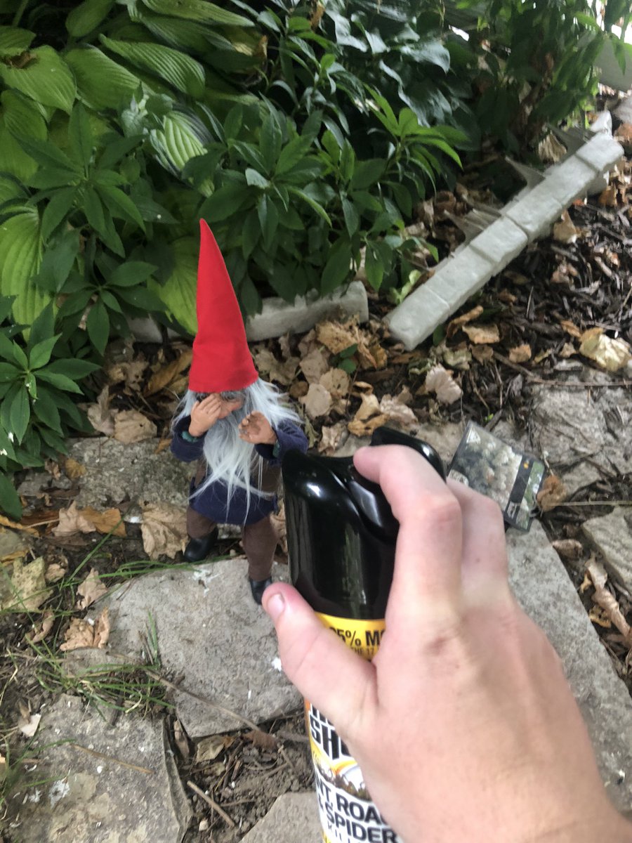 gregthesorcerer's tweet image. Little bastard snuck up on me