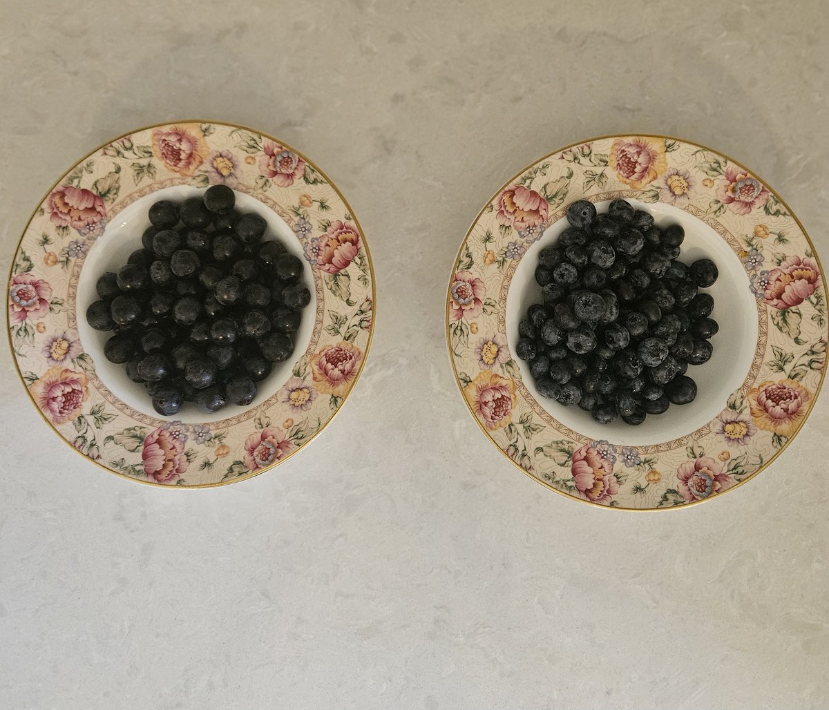 Carey-Ann Oestreicher tweet media