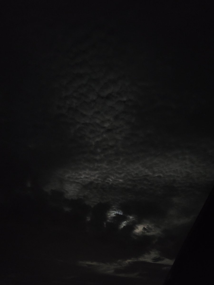 Weed_Faery's tweet photo. The clouds last night were so awesome to see! It was like the bumpy rind from an orange 🧡 https://t.co/kRxd1YE8Kw