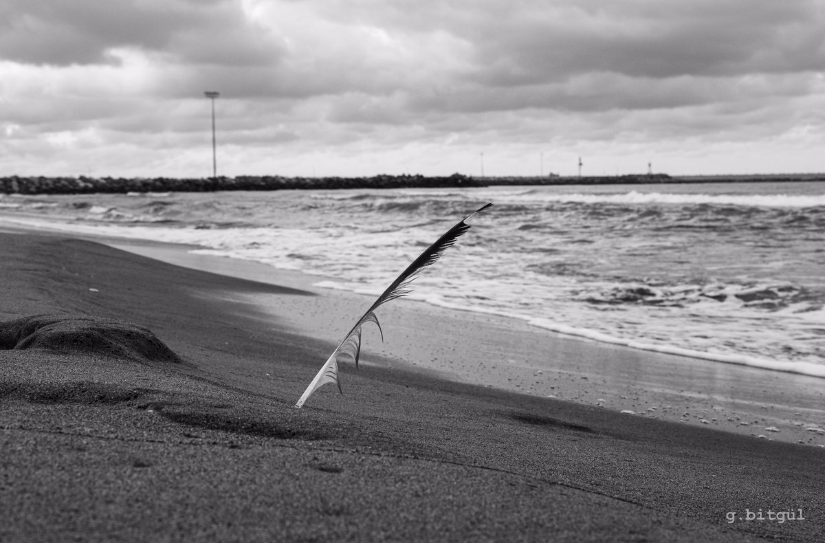 Eylül ‘24
.
📷Fujifilm X-T30 / 16-80mm
🔍Lightroom
.
#lightroom #bnw #bnwphotography #bnwphotographer #fujifilm #xt30 #1680mm #photography #fuji #xseries #fujifilmxt #xt #photooftheday #ig #fujixt #photo #filmphotography #photographer #fujinon #ghan87 #gökhanbitgül