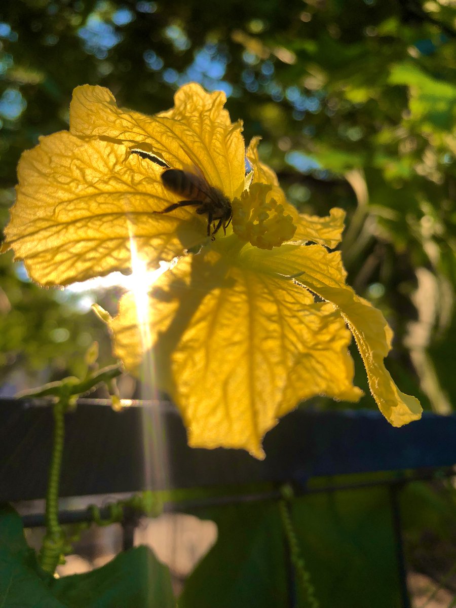 Heidi N. Moore tweet media