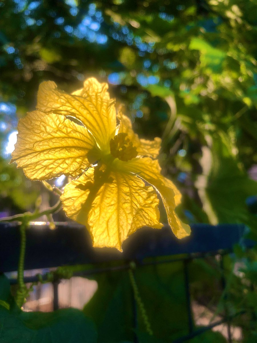 Heidi N. Moore tweet media