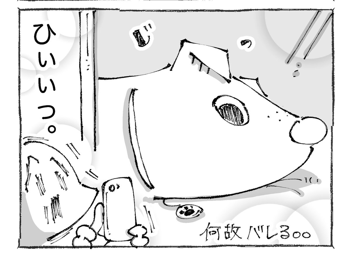 【2/3】 