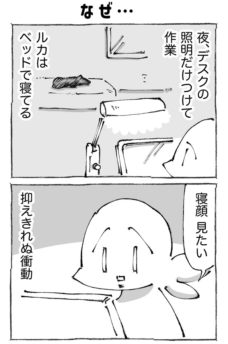 【2/3】 