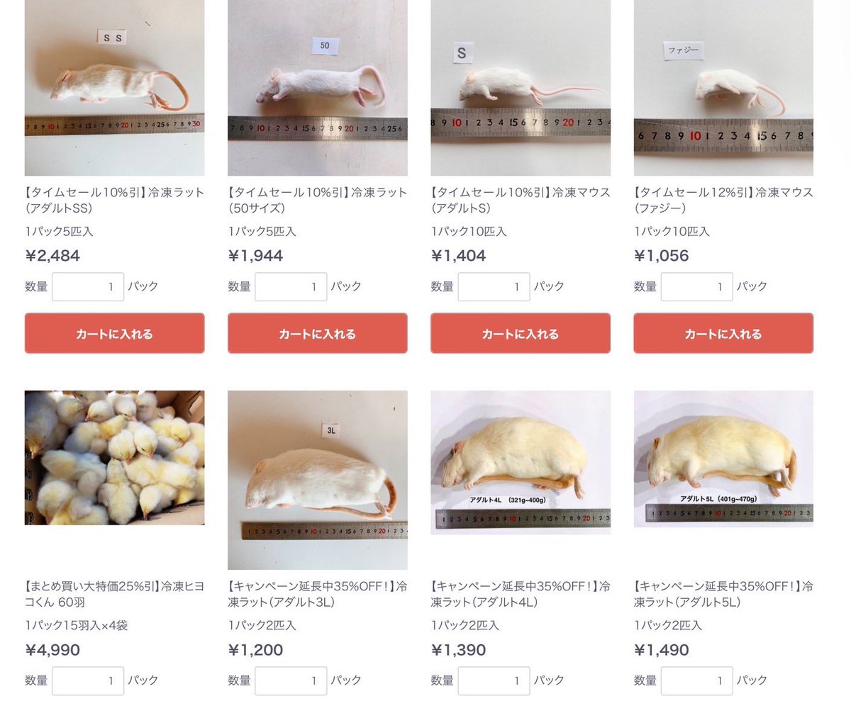 国産 冷凍マウスアダルト L 50匹 (一部地域発送不可) 国産冷凍マウス