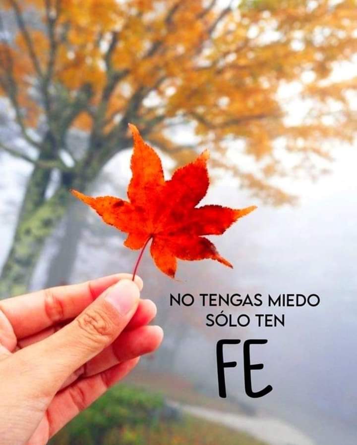 ✨Creo estar soñando✨ tweet media
