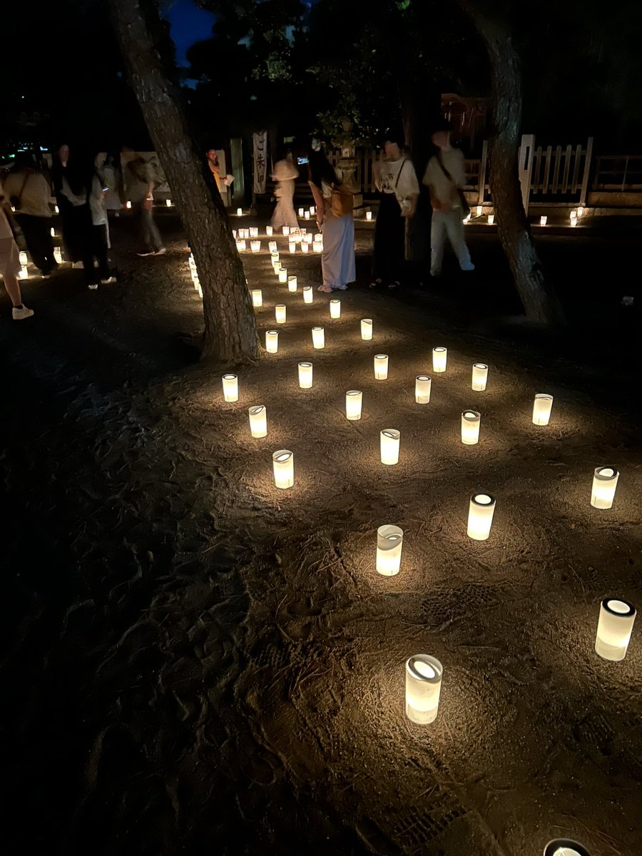 mii_mi276's tweet photo. 毎年の楽しみ🕯️ https://t.co/V0wZqxlHmf