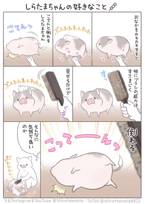 GXhCZiFasAAe-nZ.jpg:small