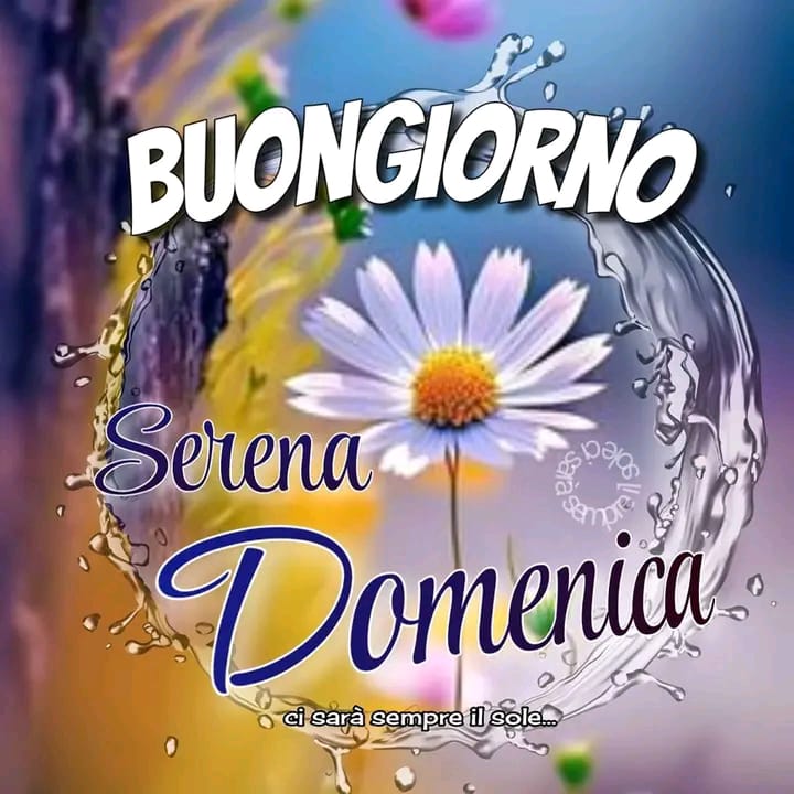 Luisa Sole tweet media