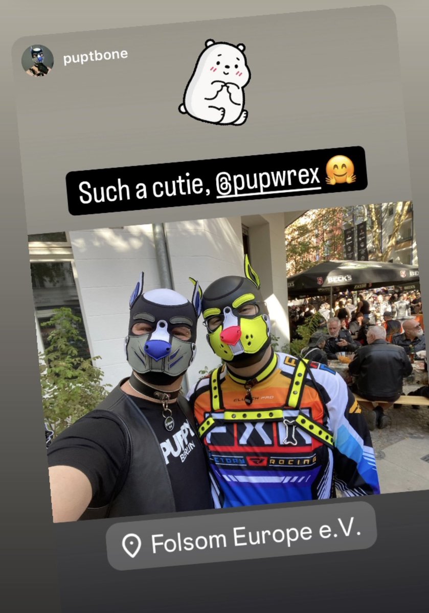 PupWrex.TTV tweet media