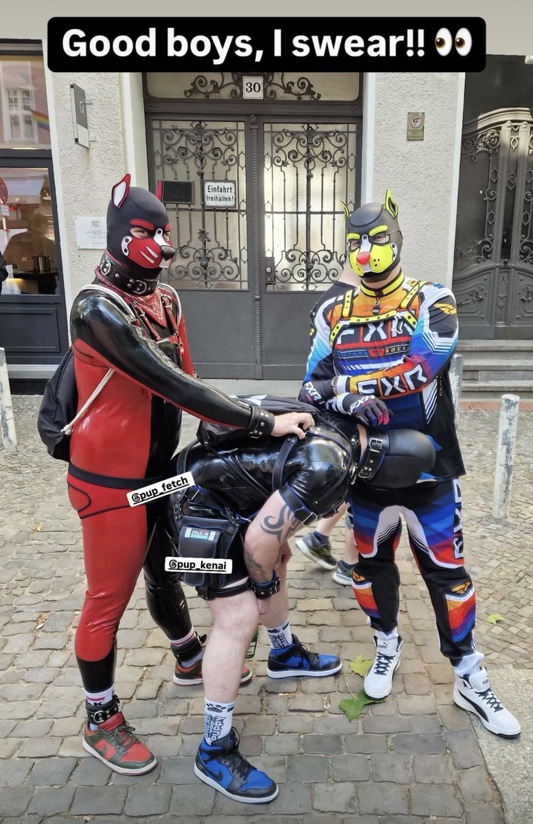 PupWrex.TTV tweet media