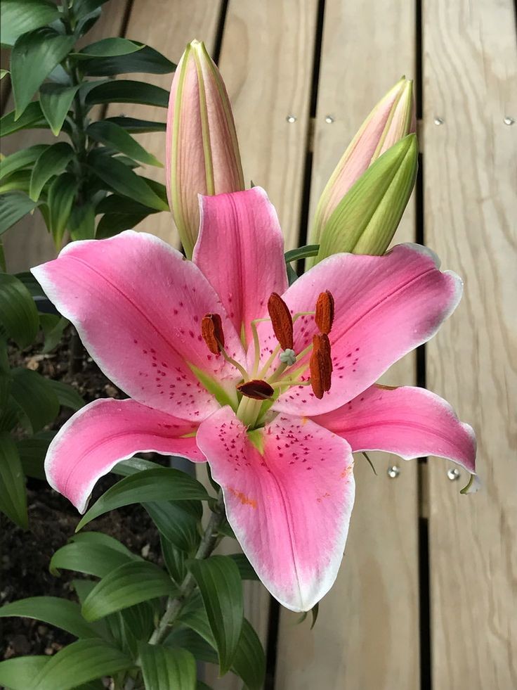 ْ𓍯 (@onlyyouforeveer) on Twitter photo 