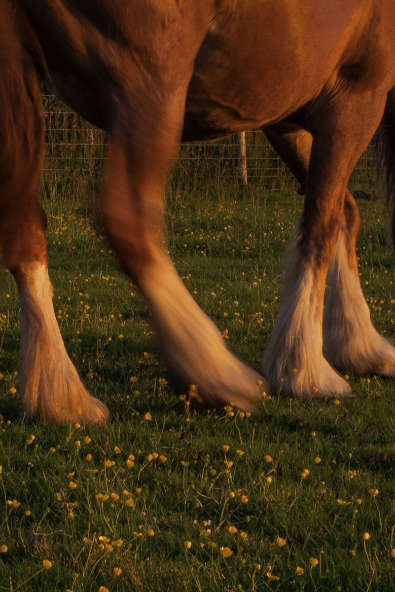 England through my lens
