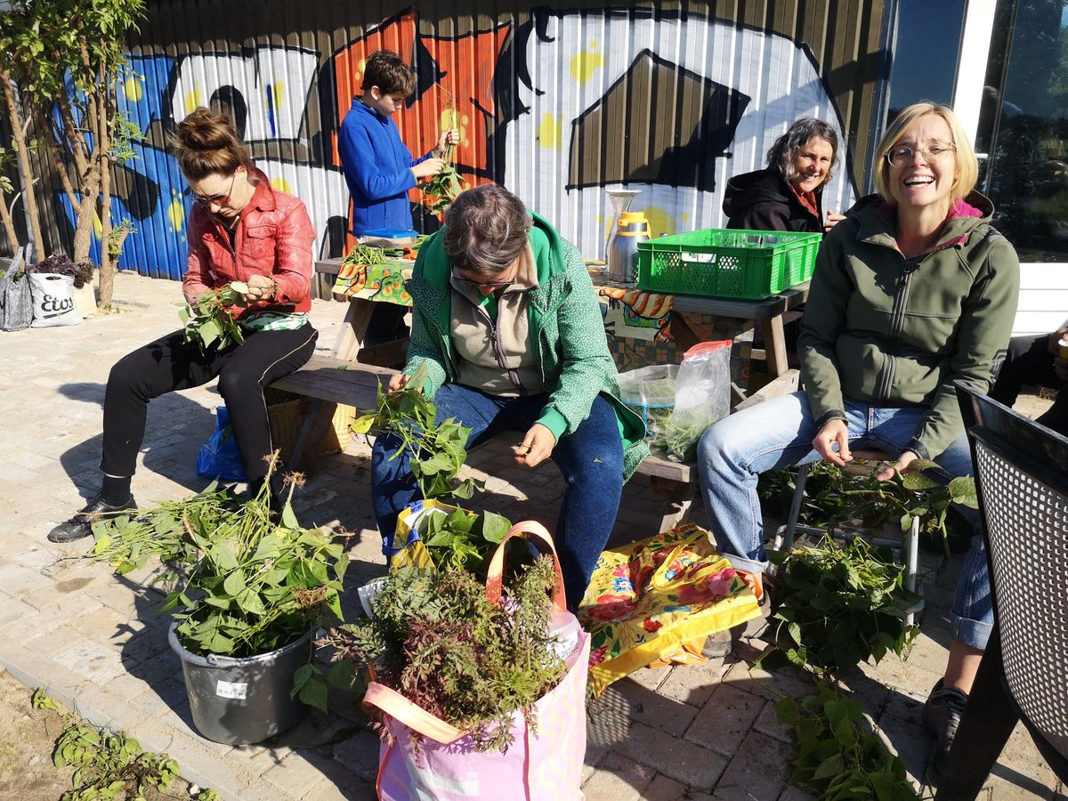 Je hoeft niet altijd alleen je eigen boontjes te doppen. Het kan ook samen 🫛😃

#natuurlijksamen #herenboeren #zelf #groente #verbouwen <a href="/parklingezegen/">Park Lingezegen</a> #arnhem #elst #nijmegen