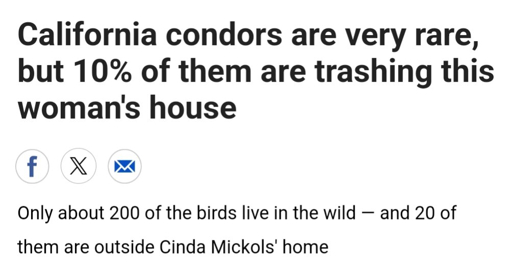 The CBC always has A+ headlines for animal-related stories.