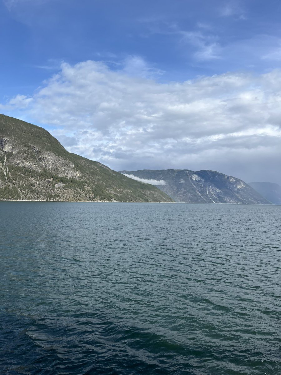 Kristoffer Berg Husa tweet media