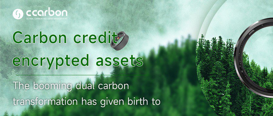 #ccarbon #preview #roadmap 
guess what we will issue or launch? 
🤚🤚