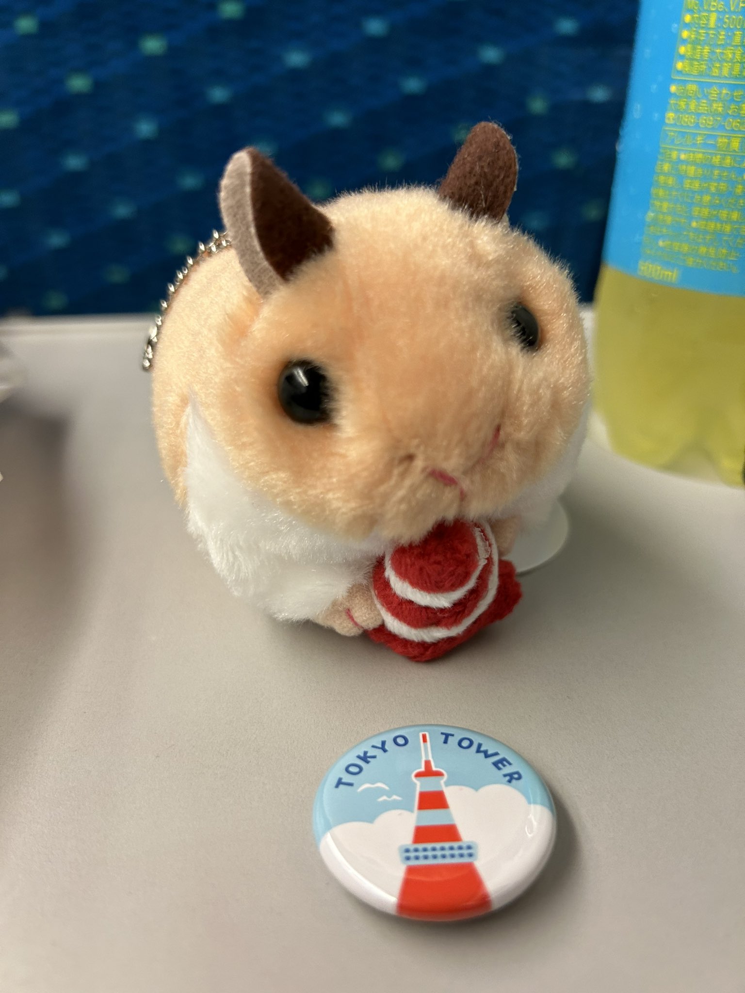 【中古】ないしょのハムスター あき on X: 