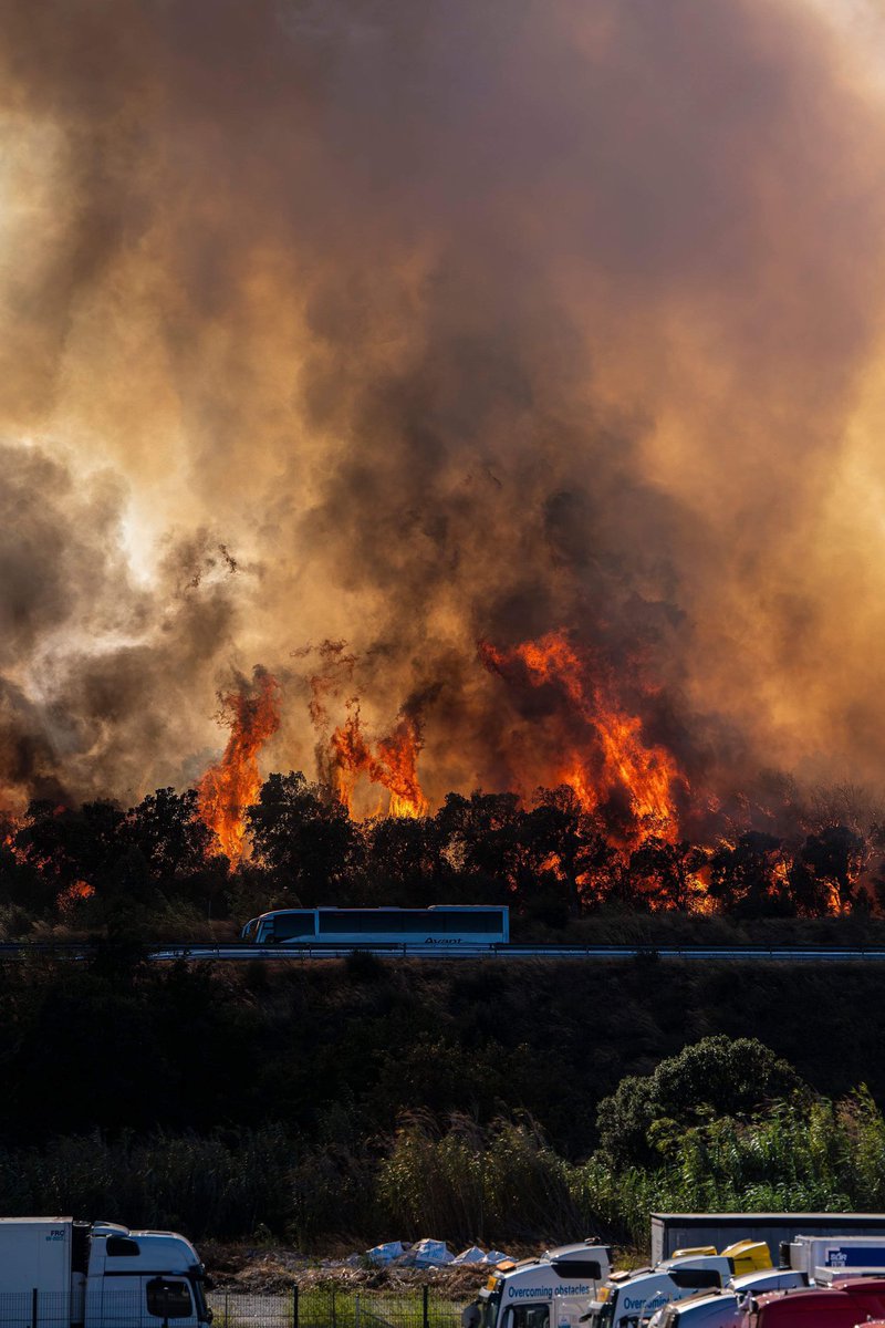 CN - photography tweet media