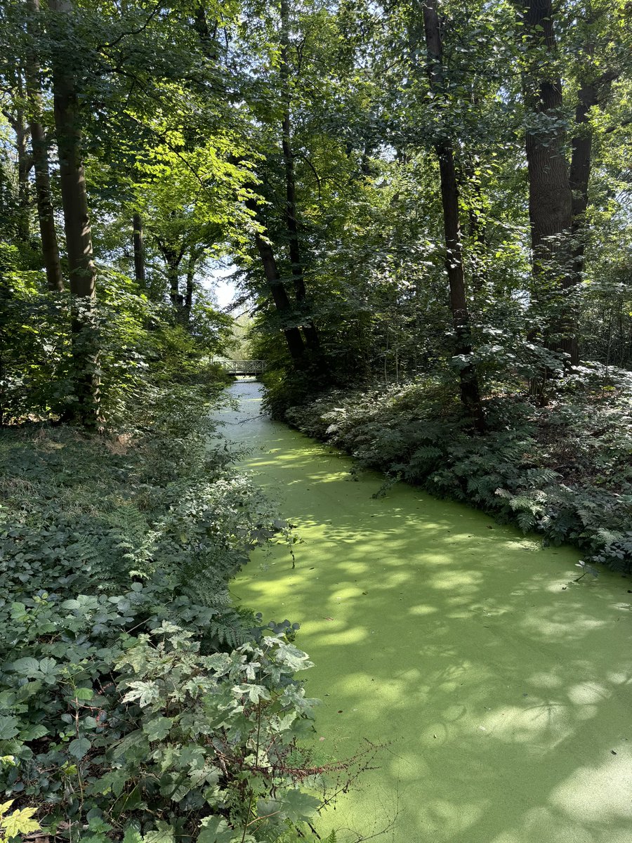 HEILOO2000's tweet image. Open monumenten dag Heiloo!