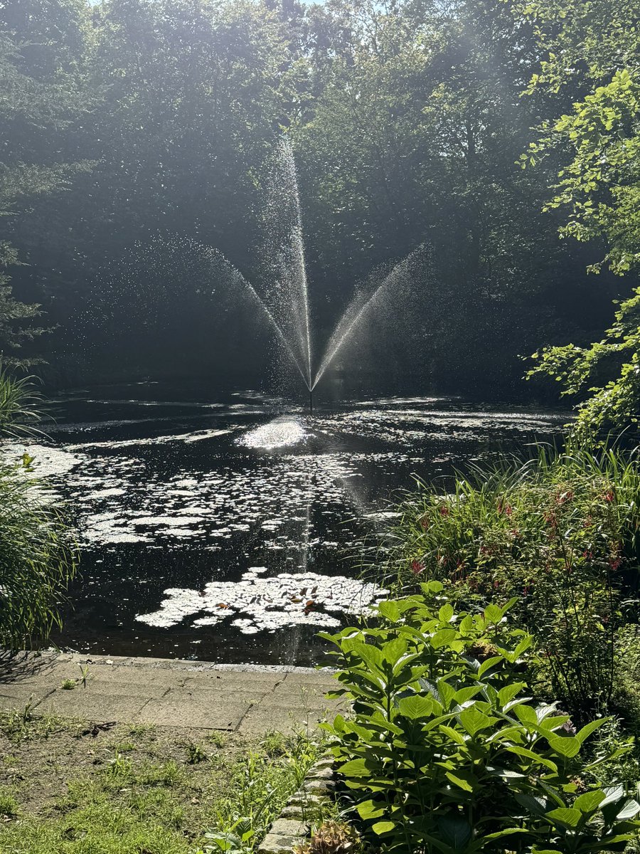 HEILOO2000's tweet image. Open monumenten dag Heiloo!